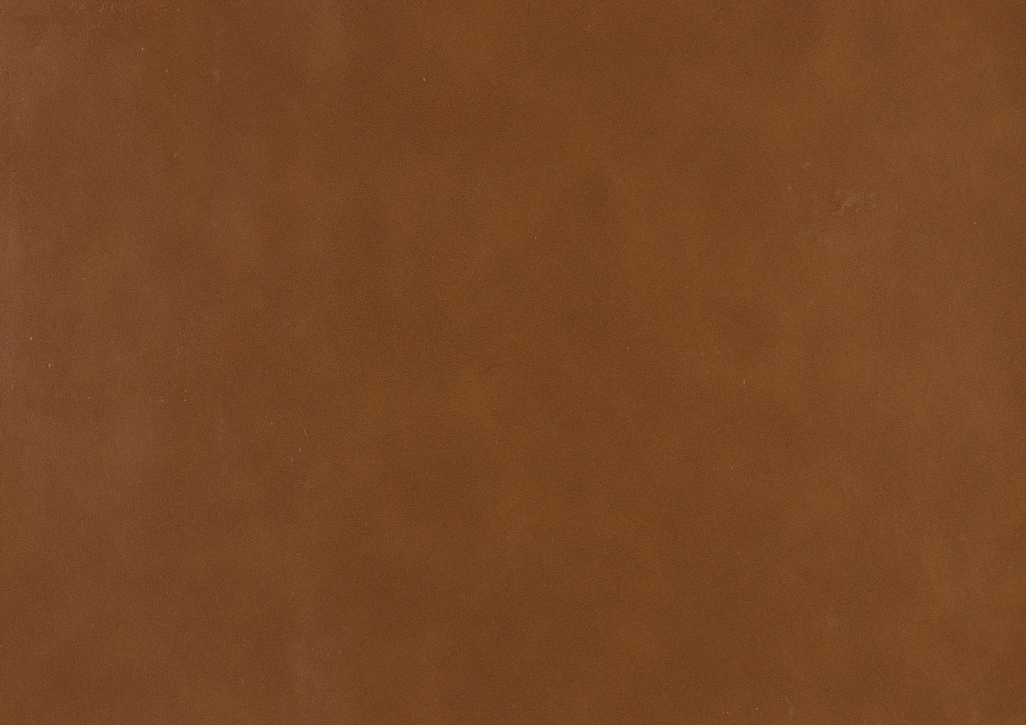 Moderner Stuhl aus braunem Kunstleder, Walnuss-Finish, Beine aus Massivholz