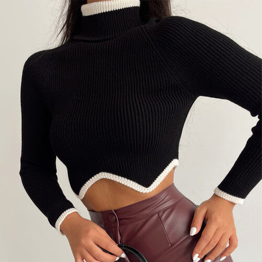 Zig Zag Cropped Hem Turtle Neck Sweater